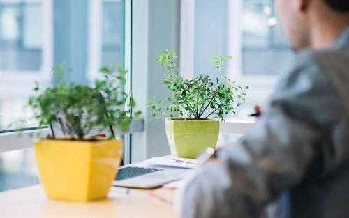 A picture of a man facing an office table with small potted plants on top and a large office window with a view